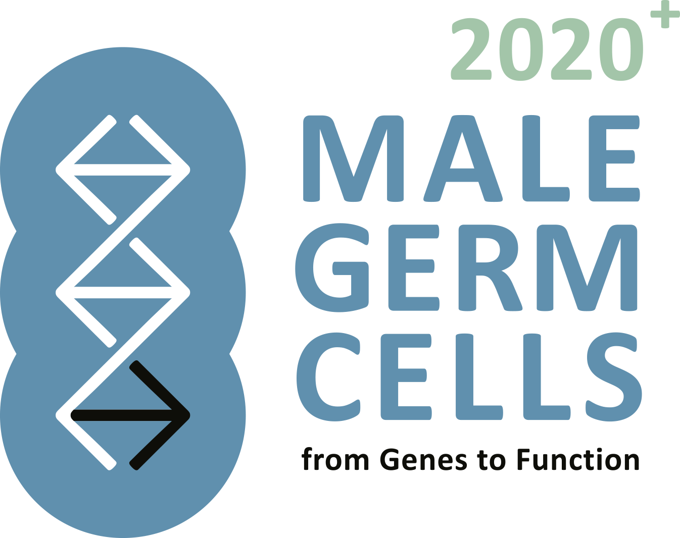Male Germ Cells Logo
